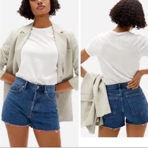 Everlane Cheeky Denim Dark Wash Shorts with Frayed Hem Button Fly 25